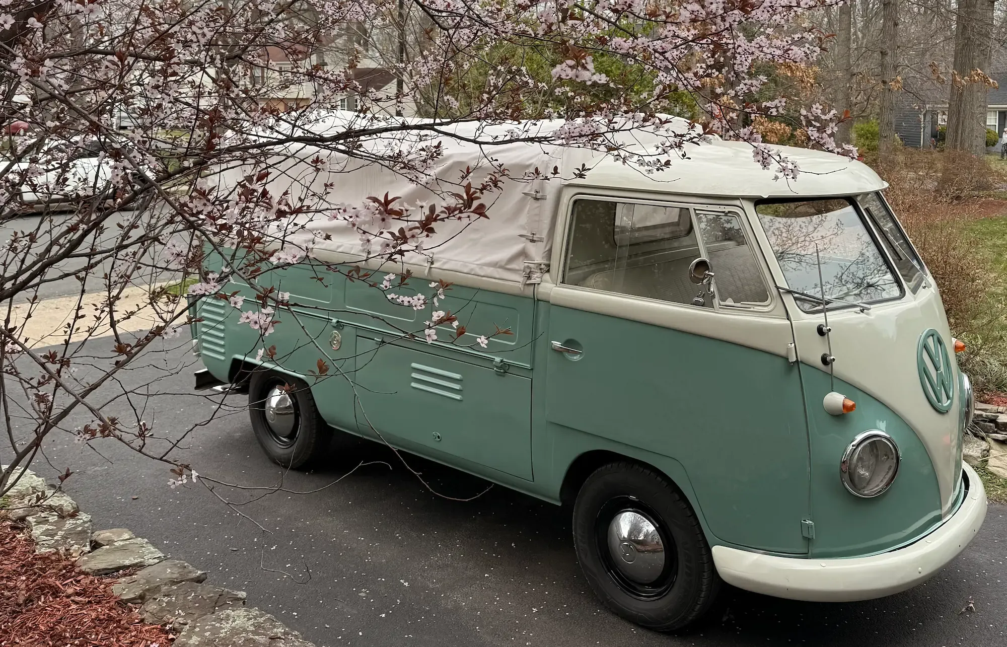 Rosi, a teal and cream vintage Volkswagen pickup with a canvas cover over her bed, parked on a driveway beneath a flowering spring tree.